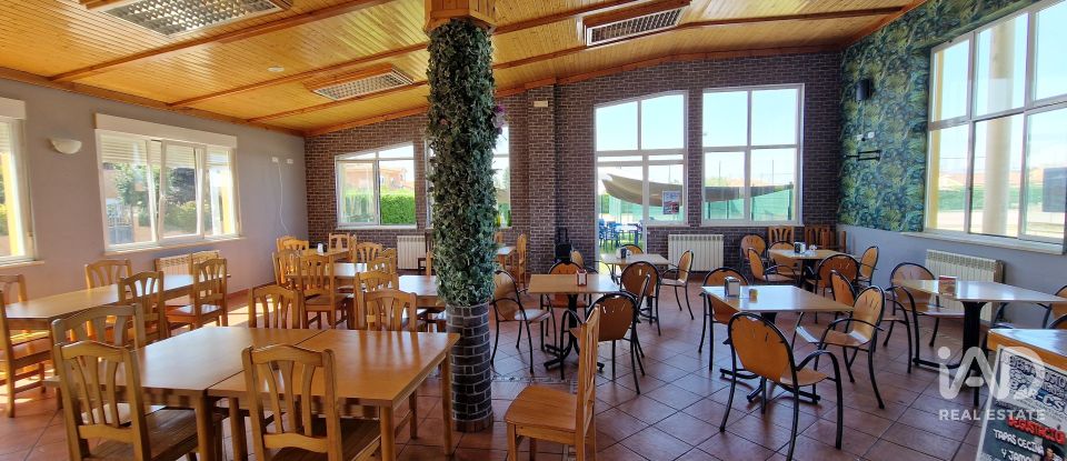 Châlet 4 chambres de 242 m² à Villadangos del Páramo (24392)