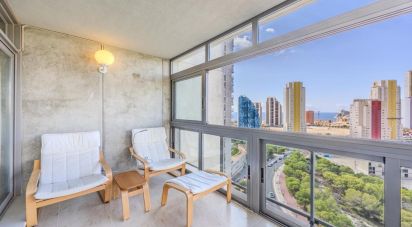 Apartment 2 bedrooms of 110 m² in Benidorm (03503)