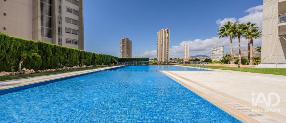 Appartement 2 chambres de 110 m² à Benidorm (03503)