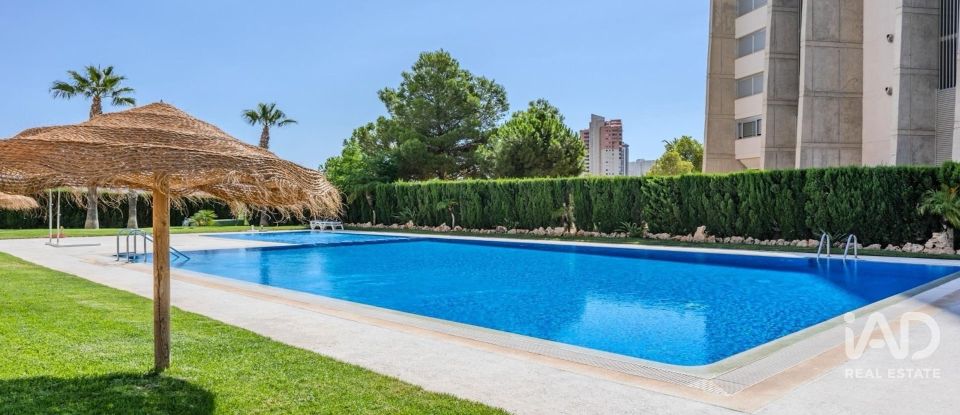 Appartement 2 chambres de 110 m² à Benidorm (03503)