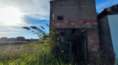 Land of 531 m² in Castellón de la Plana/Castelló de la Plana (12004)