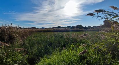 Land of 531 m² in Castellón de la Plana/Castelló de la Plana (12004)