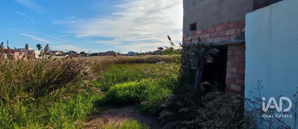 Land of 531 m² in Castellón de la Plana/Castelló de la Plana (12004)