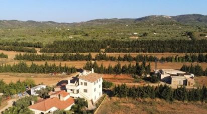 Mas 1 bedroom of 0 m² in Camarles (43894)