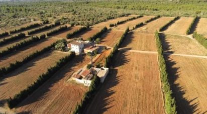 Mas 1 bedroom of 0 m² in Camarles (43894)