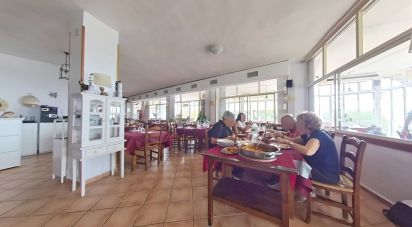 Restaurant of 448 m² in Miami-Platja (43892)