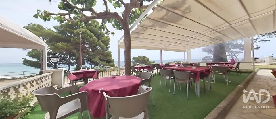 Restaurante de 448 m² en Miami-Platja (43892)