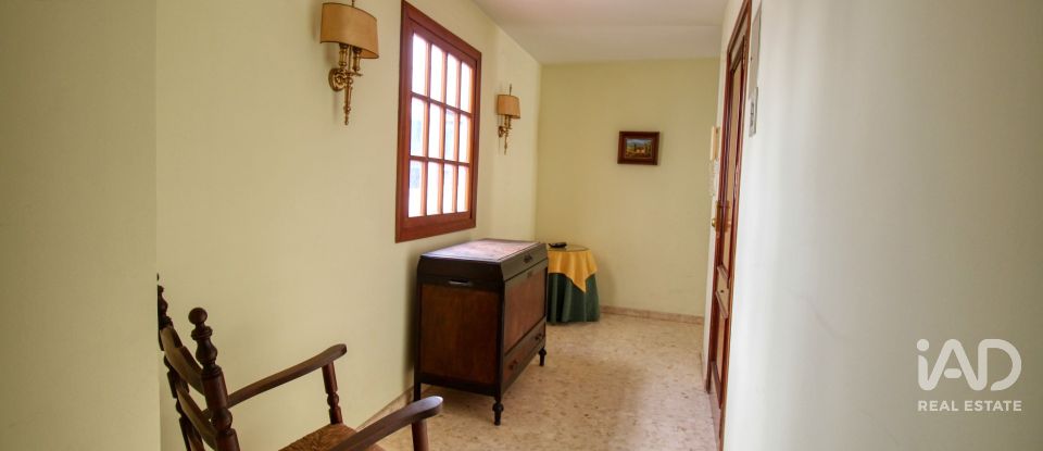 Piso 5 habitaciones de 307 m² en Oliva (46780)