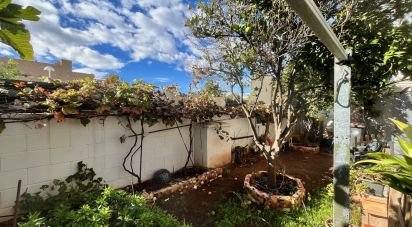 Apartment 3 bedrooms of 100 m² in Oropesa/Oropesa del Mar (12594)