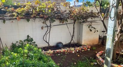 Apartment 3 bedrooms of 100 m² in Oropesa/Oropesa del Mar (12594)