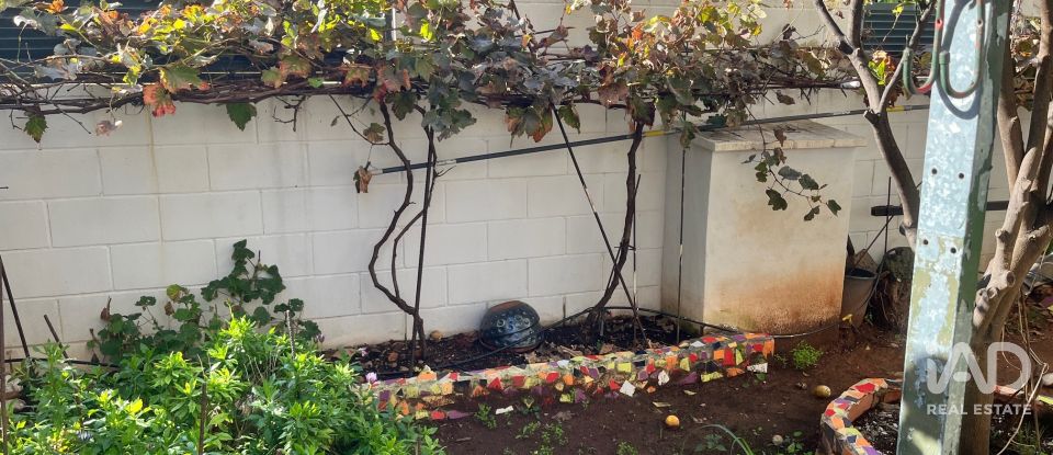 Pis 3 habitacions de 100 m² a Oropesa/Oropesa del Mar (12594)