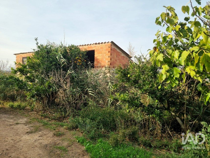 Terreno agricola de 13.039 m² en Benissanet (43747)