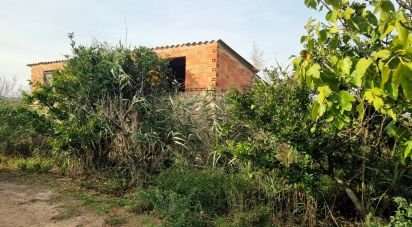 Farm land of 13,039 m² in Benissanet (43747)