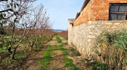 Farm land of 13,039 m² in Benissanet (43747)