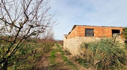 Farm land of 13,039 m² in Benissanet (43747)