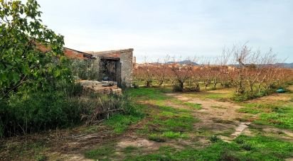 Farm land of 13,039 m² in Benissanet (43747)