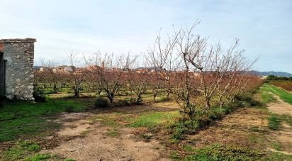 Farm land of 13,039 m² in Benissanet (43747)