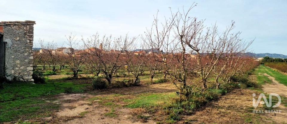 Terreno agricola de 13.039 m² en Benissanet (43747)