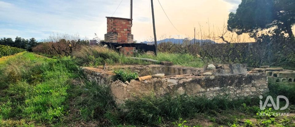 Terreno agricola de 13.039 m² en Benissanet (43747)