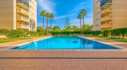 Apartment 2 bedrooms of 60 m² in Balsares (03195)