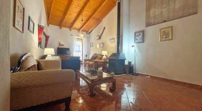 Village house 3 bedrooms of 150 m² in Pego (03780)