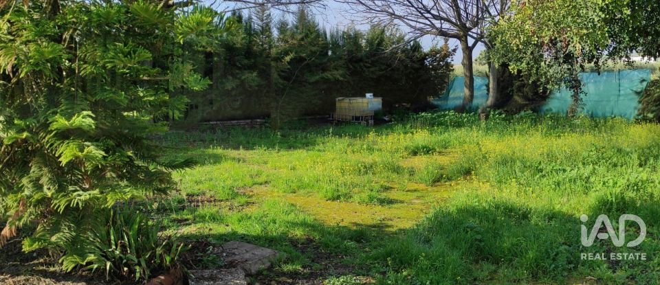 Cottage 4 bedrooms of 9,522 m² in La Carlota (14100)