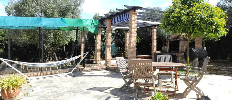 Cottage 4 bedrooms of 9,522 m² in La Carlota (14100)