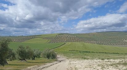 Village house 6 bedrooms of 176 m² in Santiago de Calatrava (23612)