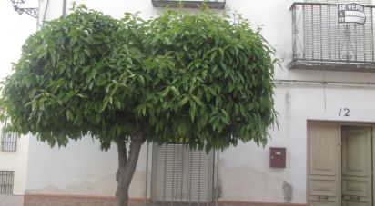 Village house 6 bedrooms of 176 m² in Santiago de Calatrava (23612)