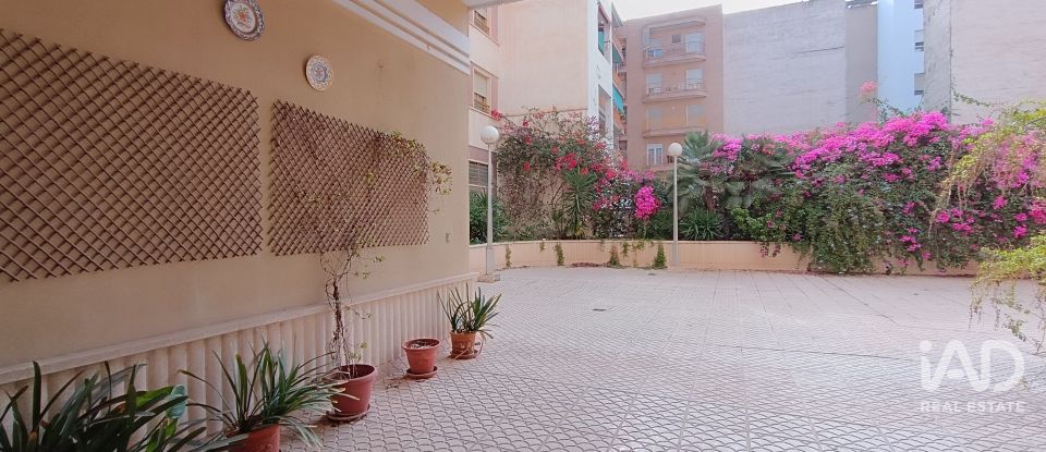 Piso 3 habitaciones de 113 m² en Elx/Elche (03201)