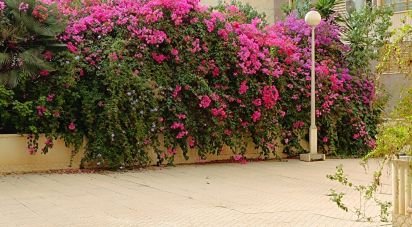 Apartment 3 bedrooms of 113 m² in Elx/Elche (03201)