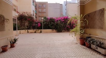 Apartment 3 bedrooms of 113 m² in Elx/Elche (03201)