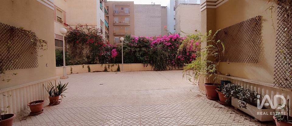 Piso 3 habitaciones de 113 m² en Elx/Elche (03201)