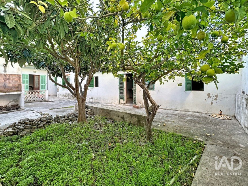 Apartment 7 bedrooms of 180 m² in Base Aeria de Pollença (07470)