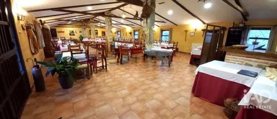 Gîte 10 chambres de 475 m² à Los Navalucillos (45130)