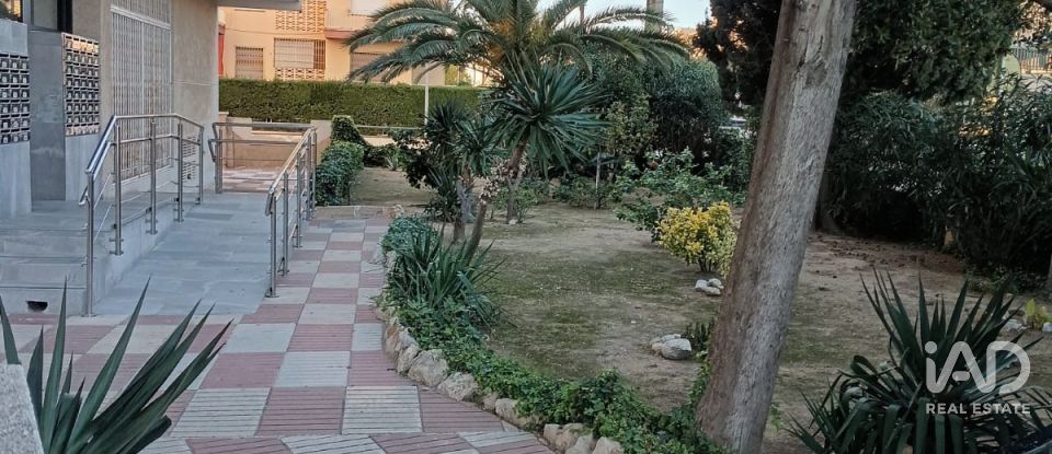 Piso 1 habitación de 38 m² en Segur de Calafell (43882)