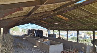 Land of 3,800 m² in El Drago (11620)