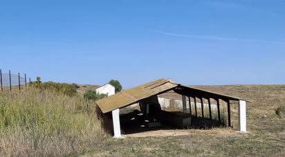 Land of 3,800 m² in El Drago (11620)