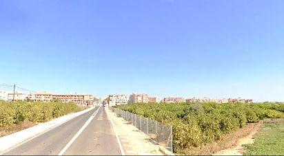 Building plot of 11,833 m² in Los Montesinos (03187)