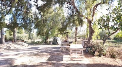 Country home 4 bedrooms of 216 m² in Elx/Elche (03205)