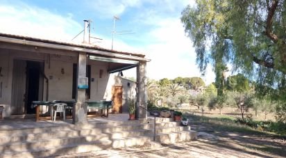 Country home 4 bedrooms of 216 m² in Elx/Elche (03205)