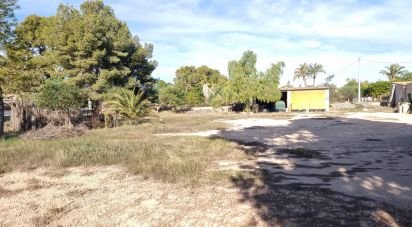 Country home 4 bedrooms of 216 m² in Elx/Elche (03205)
