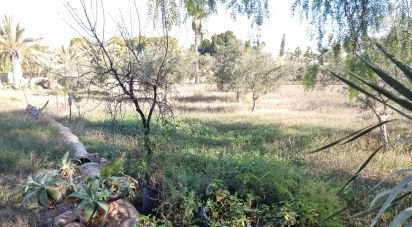 Country home 4 bedrooms of 216 m² in Elx/Elche (03205)