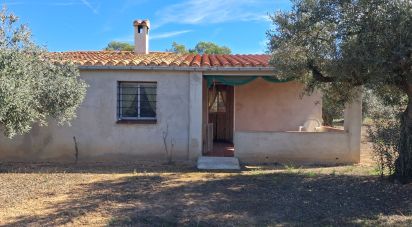 Land of 13,898 m² in Tivissa (43746)