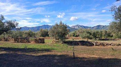 Land of 13,898 m² in Tivissa (43746)