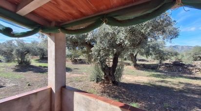 Land of 13,898 m² in Tivissa (43746)