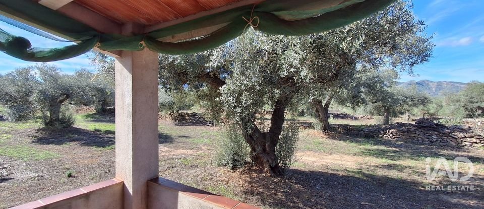 Land of 13,898 m² in Tivissa (43746)