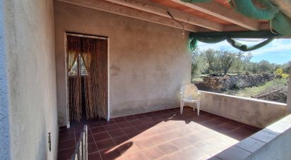 Land of 13,898 m² in Tivissa (43746)