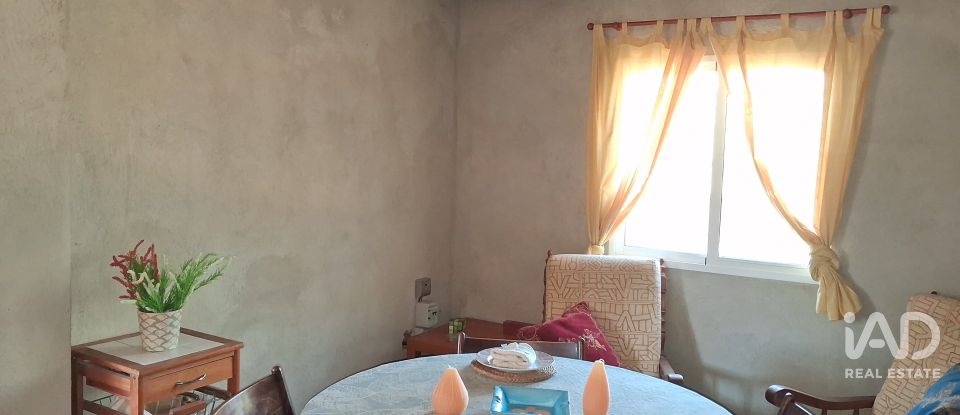 Land of 13,898 m² in Tivissa (43746)