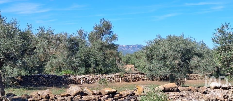 Land of 13,898 m² in Tivissa (43746)